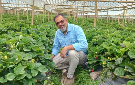 राजेन्द्र गौतम